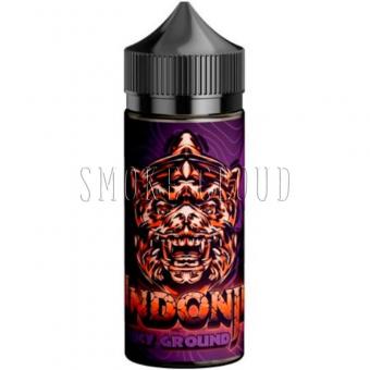 Жидкость Indonji V2 100 мл.  Juicy Ground 3