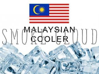 Ароматизатор "Malaysian cooler (Малайзийский кулер )" 10 мл., малазийский кулер, малайзийский кулер